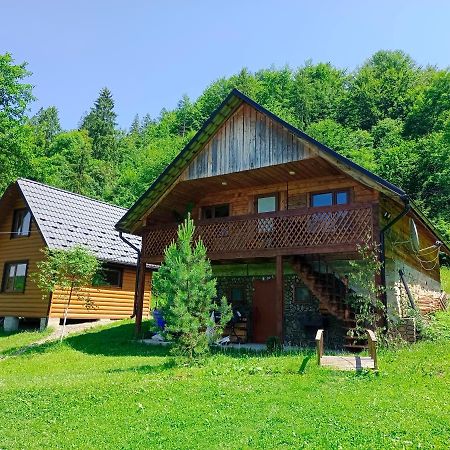 Під Горою Villa Sheshory Eksteriør billede