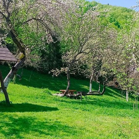 Під Горою Villa Sheshory Eksteriør billede