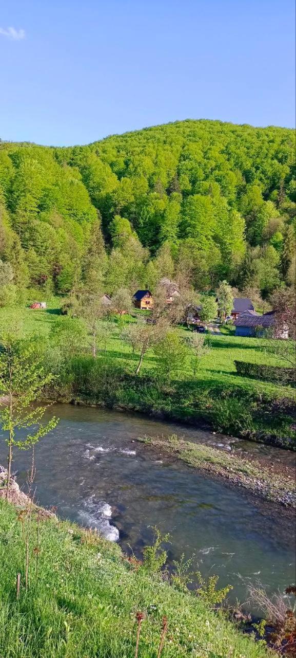 Під Горою Villa Sheshory Eksteriør billede
