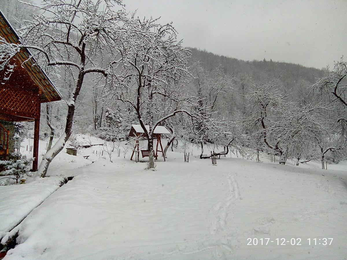 Під Горою Villa Sheshory Eksteriør billede